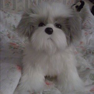 Meet your Posher, Jackie